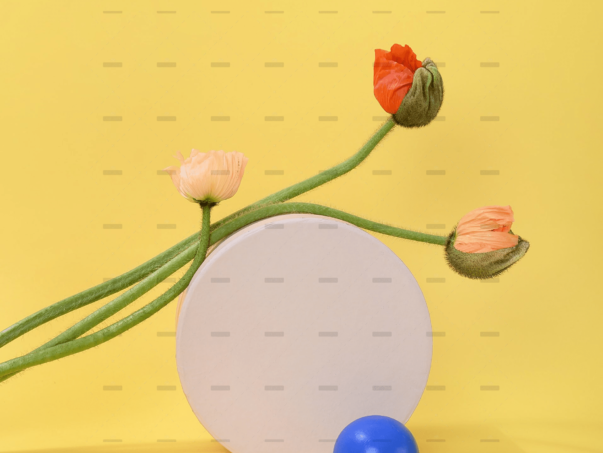 4K video quality sample