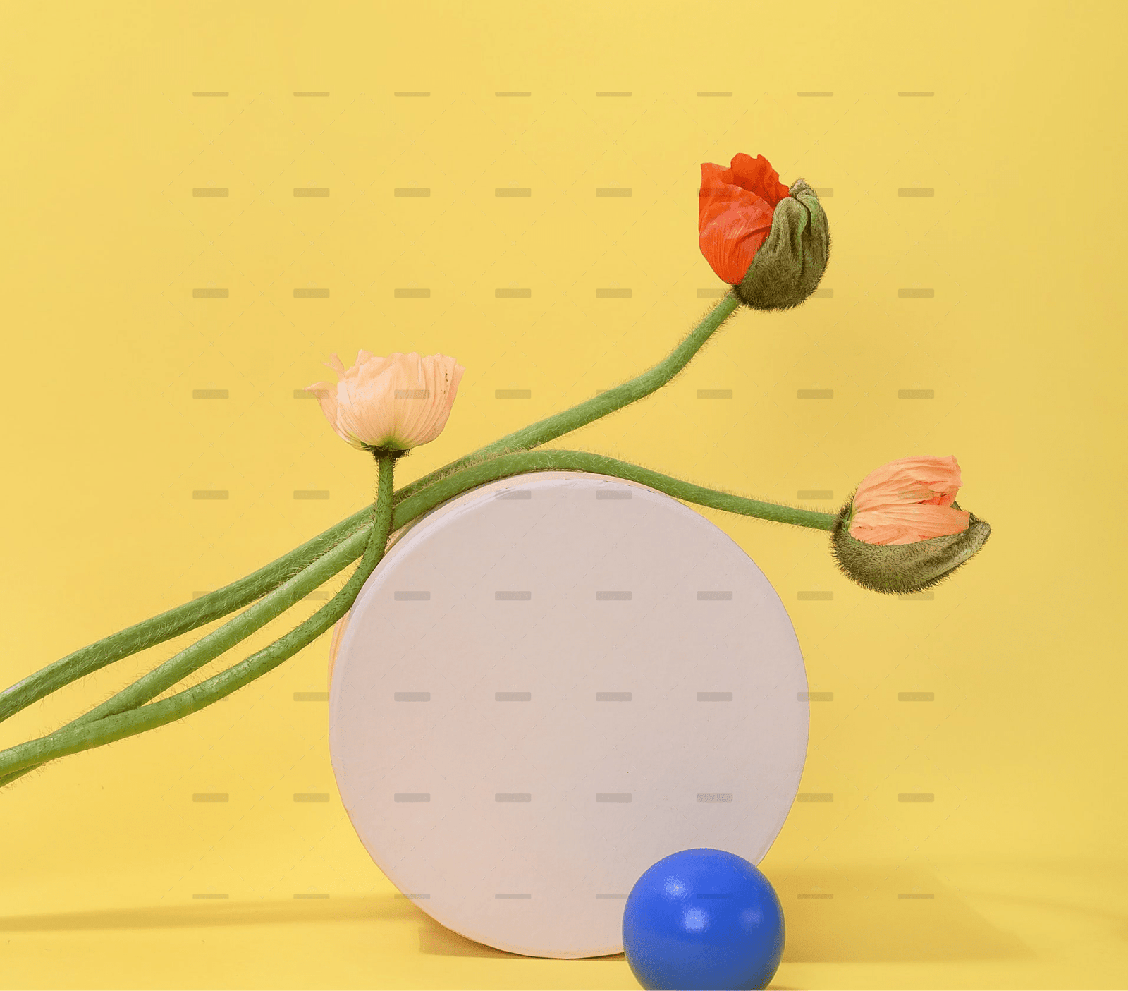 4K video quality sample